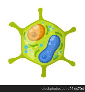 Green cell of the plant. Element of science and biology. Cartoon flat illustration. Microorganism by microscope. With core, details and membrane. Green cell of the plant. Element of science