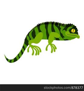 Green chameleon icon. Cartoon of green chameleon vector icon for web design isolated on white background. Green chameleon icon, cartoon style