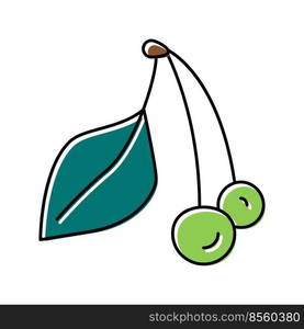 green cherry color icon vector. green cherry sign. isolated symbol illustration. green cherry color icon vector illustration