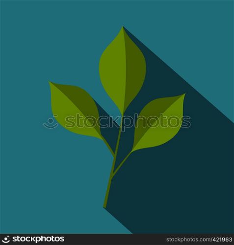 Green cherry leaves icon. Flat illustration of green cherry leaves vector icon for web isolated on baby blue background. Green cherry leaves icon, flat style