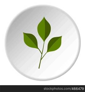 Green cherry leaves icon in flat circle isolated on white background vector illustration for web. Green cherry leaves icon circle