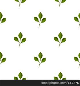Green cherry leaves pattern seamless for any design vector illustration. Green cherry leaves pattern seamless