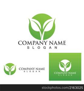 Green Clover Leaf Logo Template Design
