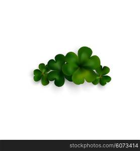 Green clovers on white with shadow, decoration for greeting cards. St Patricks day vector design.