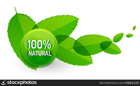 Green eco concept - natural. Green eco concept - 100 percents natural. Vector icon