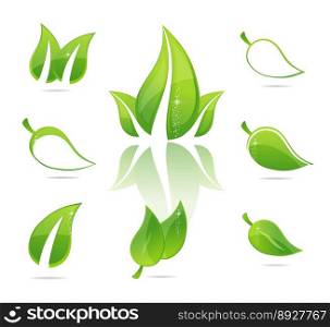 Green eco leaves vector image