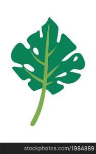 Green fern leaf cartoon flat design style on white. Green leaf tree, nature palm, vector natural summer illustration element. Green fern leaf cartoon flat design style on white