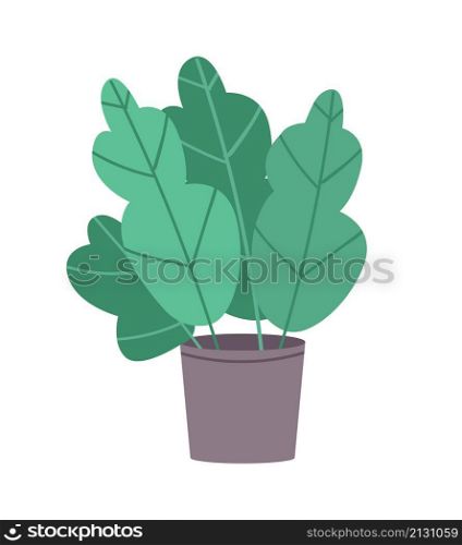 Green fern semi flat color vector object. Realistic item on white. Indoor decoration for home and office isolated modern cartoon style illustration for graphic design and animation. Green fern semi flat color vector object