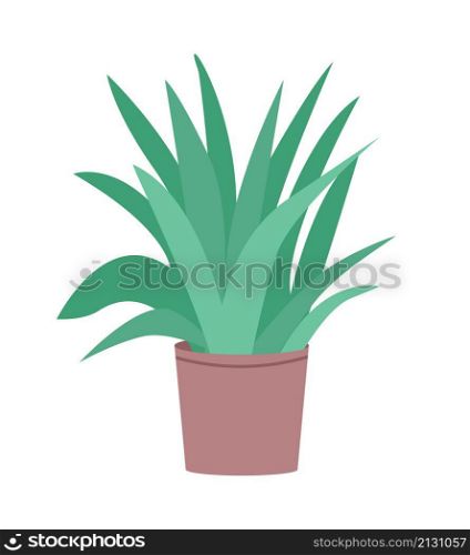 Green ficus in pot semi flat color vector object. Realistic item on white. Indoor houseplant for home and office isolated modern cartoon style illustration for graphic design and animation. Green ficus in pot semi flat color vector object