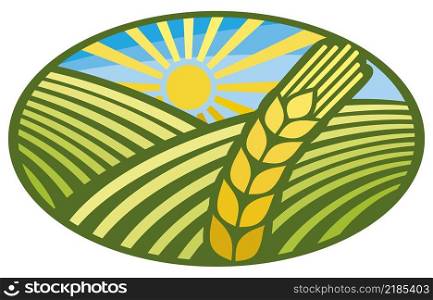 Green field with ear vector