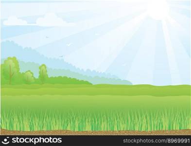Green field with sunshine rays vector image