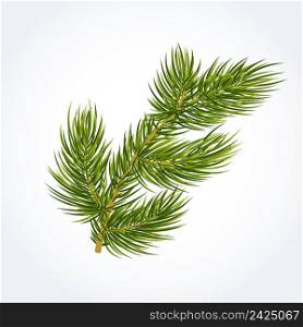 Green fir tree twig. Plant, branch, decoration, aromatherapy. Nature concept. Can be used for greeting cards, posters, leaflets and brochure