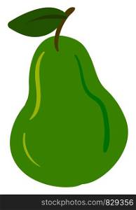 Green flat pear, illustration, vector on white background.