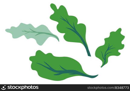 Green foliage from forest tree or bushes whirling and flying because of wind. Summer and spring revival and blooming, nature composition or ornaments for decor. Eco and bio. Vector in flat style. Whirling tree or bushes leaves, green foliage