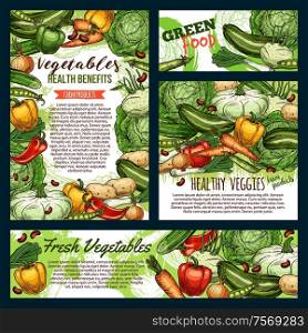 Green food, fresh vegetables and farm product frames sketches. Vector healthy veggies, carrot and cucumbers, pepper and zucchini. Onion and cauliflower, beans and peas legumes, cabbage and potato. Vegetables and green veggies, farm food sketch