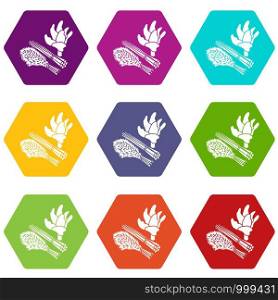 Green food plant icons 9 set coloful isolated on white for web. Green food plant icons set 9 vector