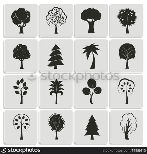 Green forest trees design elements of pine fir oak isolated vector illustration