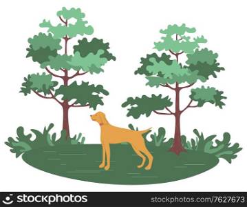 Green forest with trees and bushes and hunting dog pointer isolated cartoon animal. Vector pet and green wood, purebred for hunt, pedigree hound. Green Forest with Trees and bushes and Hunting Dog