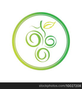 green fresh Grapes icon vector illustration design template