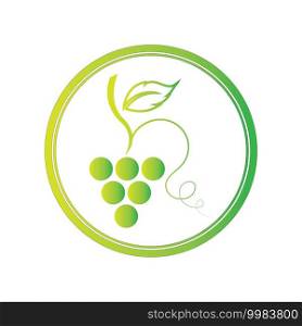 green fresh Grapes icon vector illustration design template