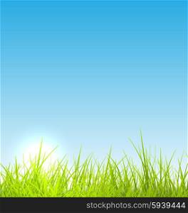 Green fresh grass and blue sky summer background. Green fresh grass and blue sky summer background - vector illustration