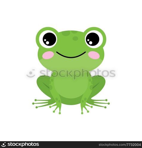 Green frog on a white background. Vector illustration 