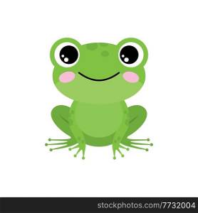 Green frog on a white background. Vector illustration 