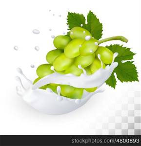Green grape in a milk splash on a transparent background. Vector.