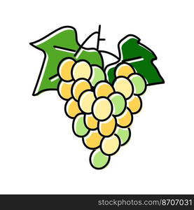 green grapes bunch color icon vector. green grapes bunch sign. isolated symbol illustration. green grapes bunch color icon vector illustration