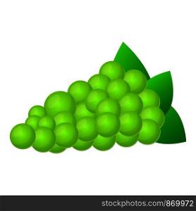 Green grapes icon. Cartoon of green grapes vector icon for web design isolated on white background. Green grapes icon, cartoon style