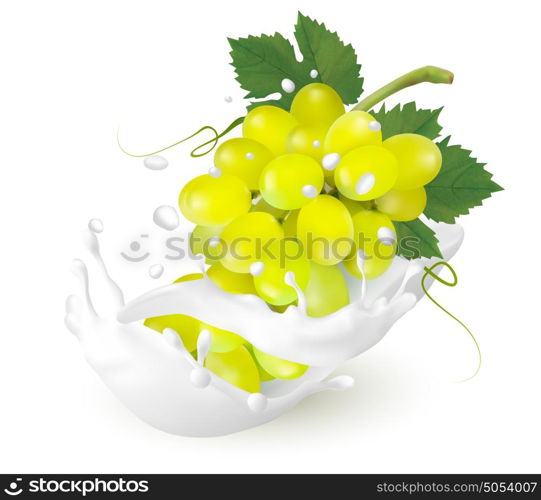 Green grapes in a milk splash on a transparent background. Vector.