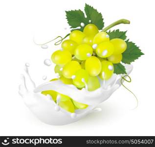 Green grapes in a milk splash on a transparent background. Vector.