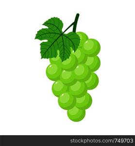 Green grapes isolated on white background. Bunch of green grapes with stem and leaf. Cartoon style. Vector illustration for any design.