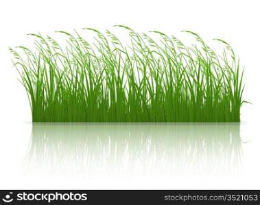 Green grass, 10eps