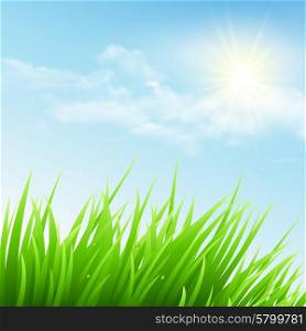 Green grass and blue sky. Vector illustration. Green grass and blue sky. Vector illustration EPS 10