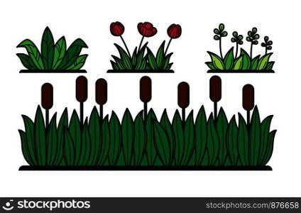 Green grass and flower plants or reed for decorative verdure. Vector flat cartoon floral garden bushes and green hedges. Green grass flowers and reed vector icons