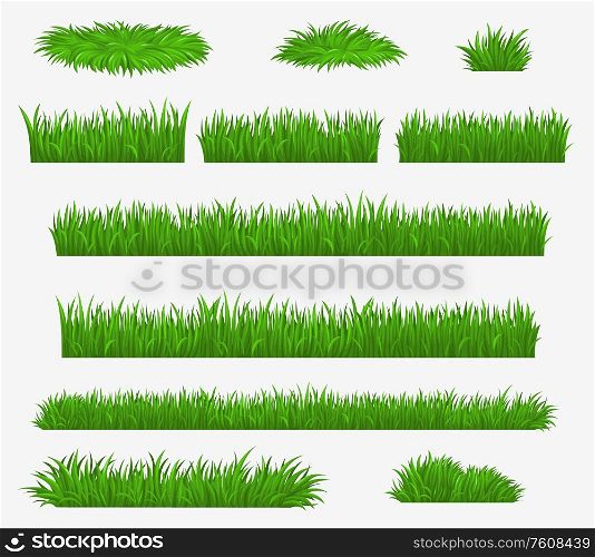 Green grass blades borders and landscaping constructor plants, vector isolated realistic icons. Meadow lawn, park or farm green grass hedges. Green grass, media and farm field grass blades
