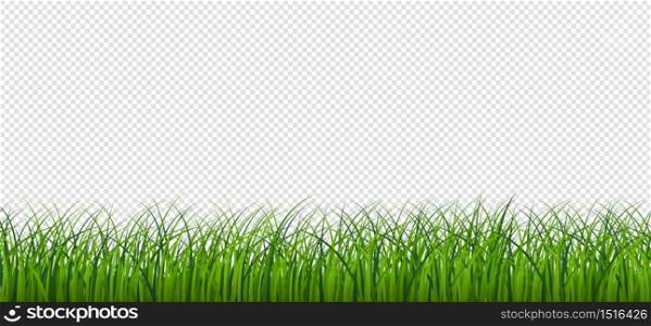 Green Grass Border. vector pattern. Spring or summer plant field lawn, Isolated on Transparent Background. Illustration - Vector