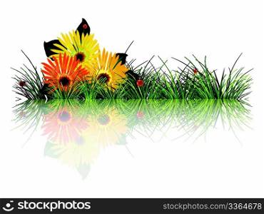 green grass, flowers and ladybugs reflected against white background; abstract vector art illustration; image contains transparency