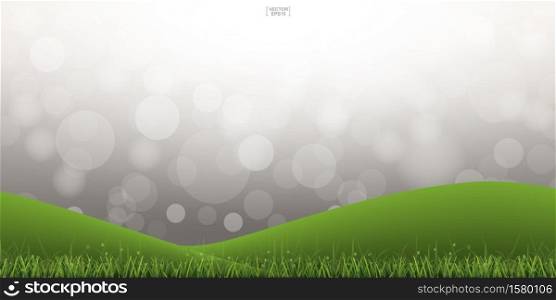 Green grass hill with light blurred bokeh background. Outdoor abstract background. Vector illustration.