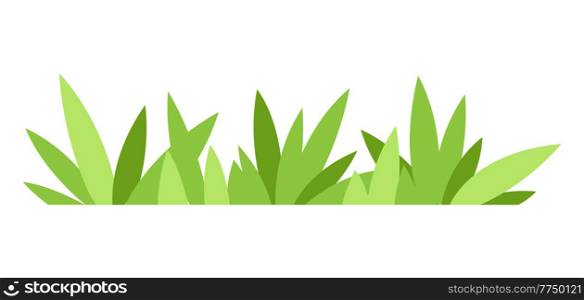 Green grass illustration. Natural image of plant for design and decoration.. Green grass illustration. Natural image of plant for design.