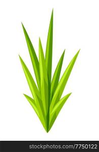 Green grass illustration. Natural image of plant for design and decoration.. Green grass illustration. Natural image of plant for design.