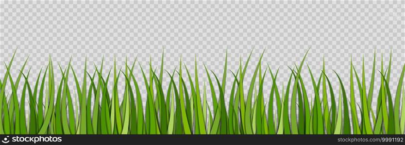 Green grass. Lawn for field. Sprouts of grass. Spring grassland for football. Green plant on meadow isolated on transparent background. Horizontal nature pattern with border. Ecology, garden. Vector.. Green grass. Lawn for field. Sprouts of grass. Spring grassland for football. Green plant on meadow isolated on transparent background. Horizontal nature pattern with border. Ecology, garden. Vector