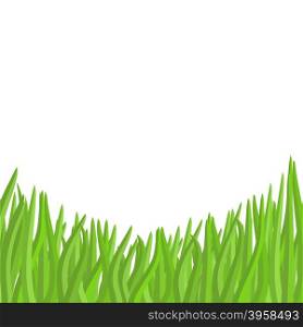 Green grass on a white background. Vector illustration garden.&#xA;