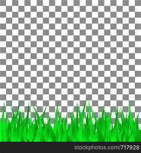 Green grass on transparent background template. Vector Illustration.. Green grass on transparent background template. Vector design.