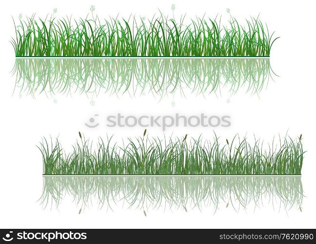 Green grass patterns with reflections for environment or ecology design