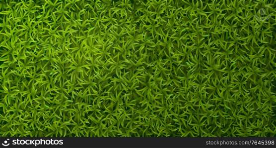 Green grass realistic top view spring lawn ground cover natural seamless pattern banner background vector illustration. Green Grass Realistic Background