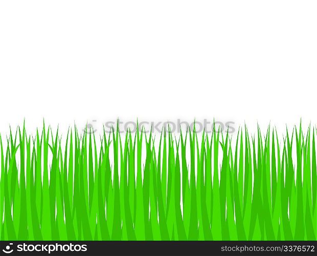 Green grass (seamless pattern)