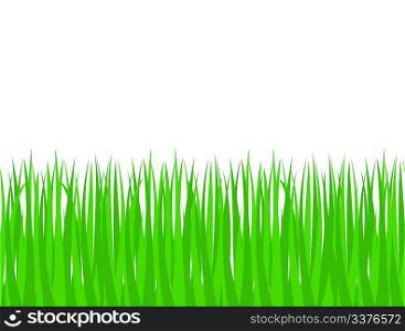 Green grass (seamless pattern)