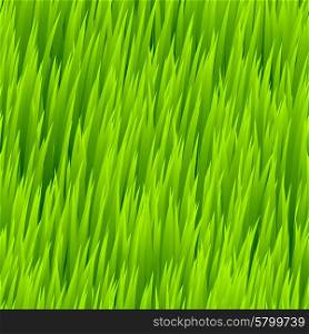 Green grass seamless pattern. Vector illustration. Green grass seamless pattern. Vector illustration EPS 10